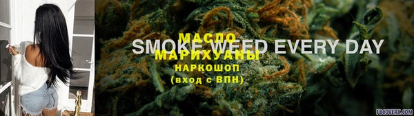 молекула духа Гусиноозёрск