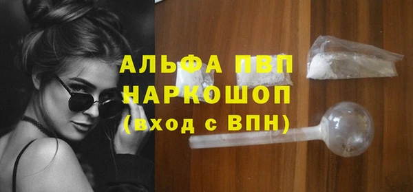 молекула духа Гусиноозёрск