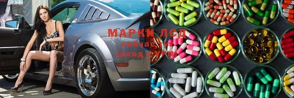 PSILOCYBIN Гусев