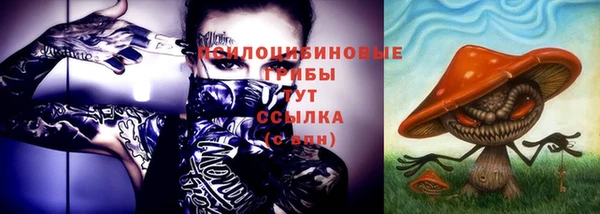 метадон Дмитриев