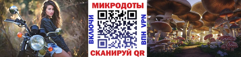 Купить  Уржум  Галлюциногенные грибы мицелий 